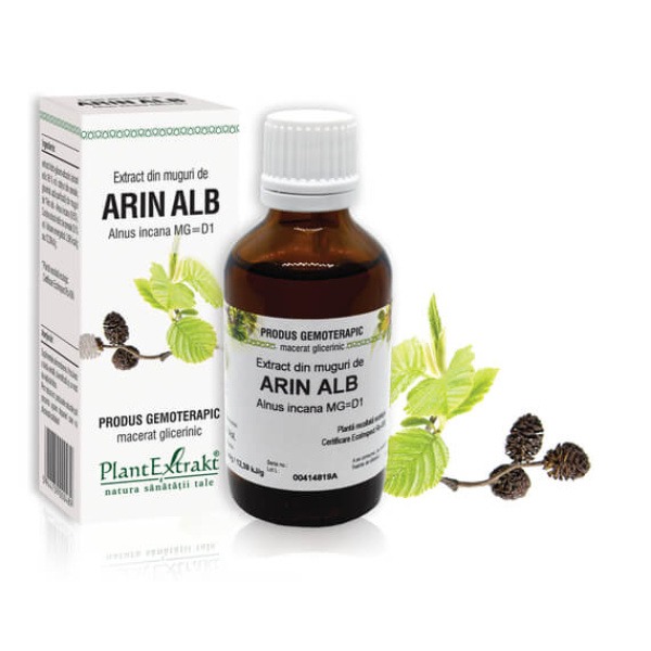P Extract din muguri de arin alb 50 ml