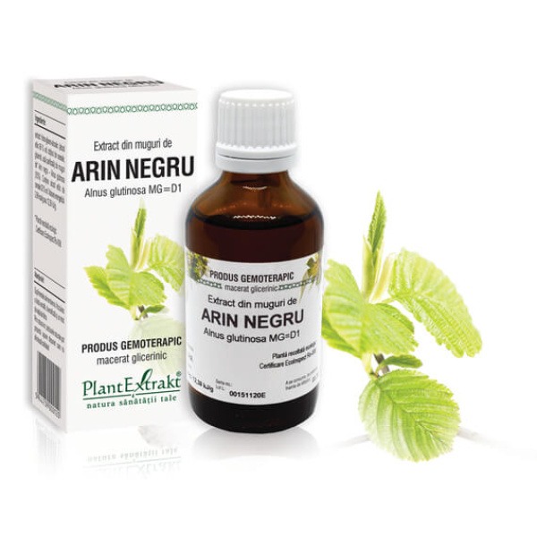 ARIN NEGRU  - Extract din muguri de Arin negru - Alnus glutinosa MG=D1