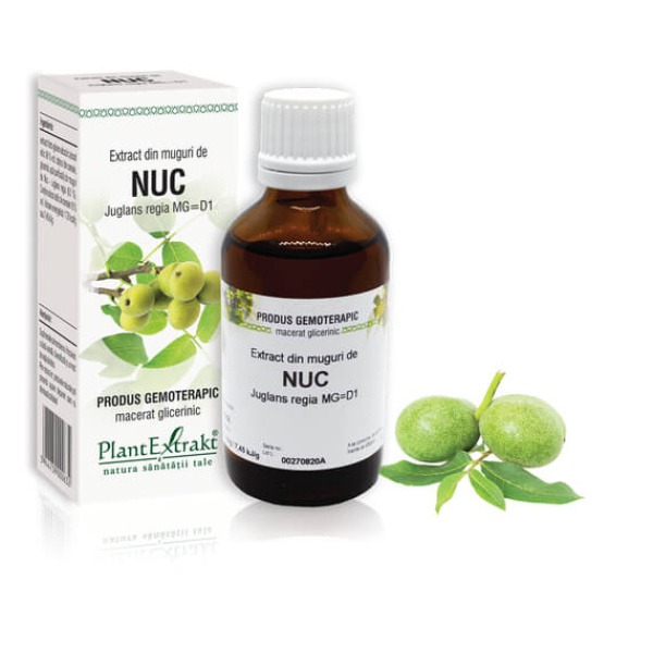 NUC - Extract din muguri de Nuc - Juglans regia MG=D1