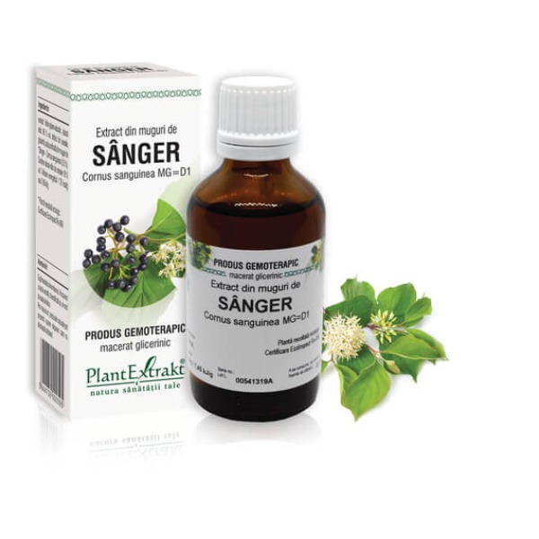 SÂNGER  - Extract din muguri de Sânger - Cornus sanguinea MG=D1
