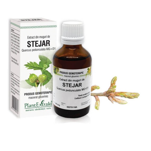 P Extract muguri de stejar 50ml