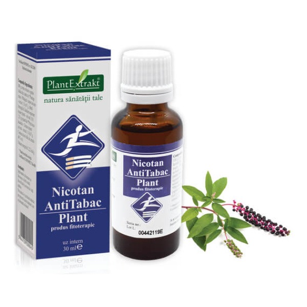 Nicotan Antitabac Plant
